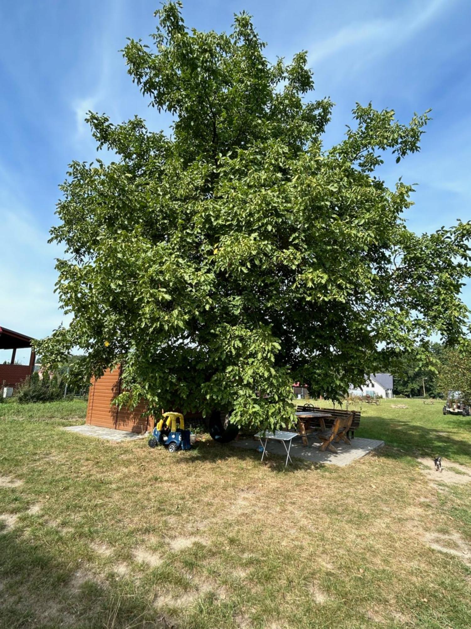 Agroturystyka U Krystyny Moryn Exterior photo